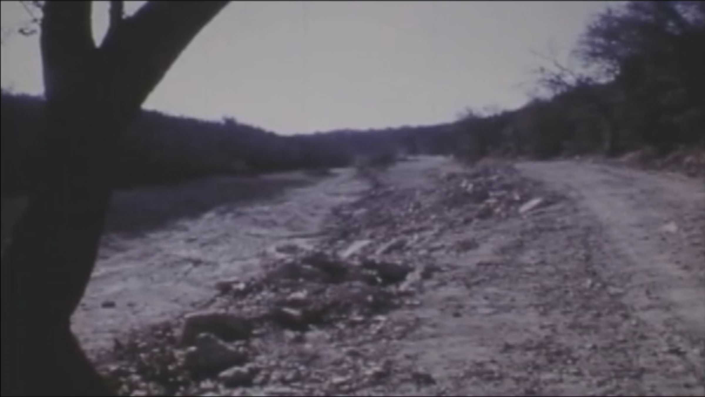 Barton Creek (The View from Here, 1965)