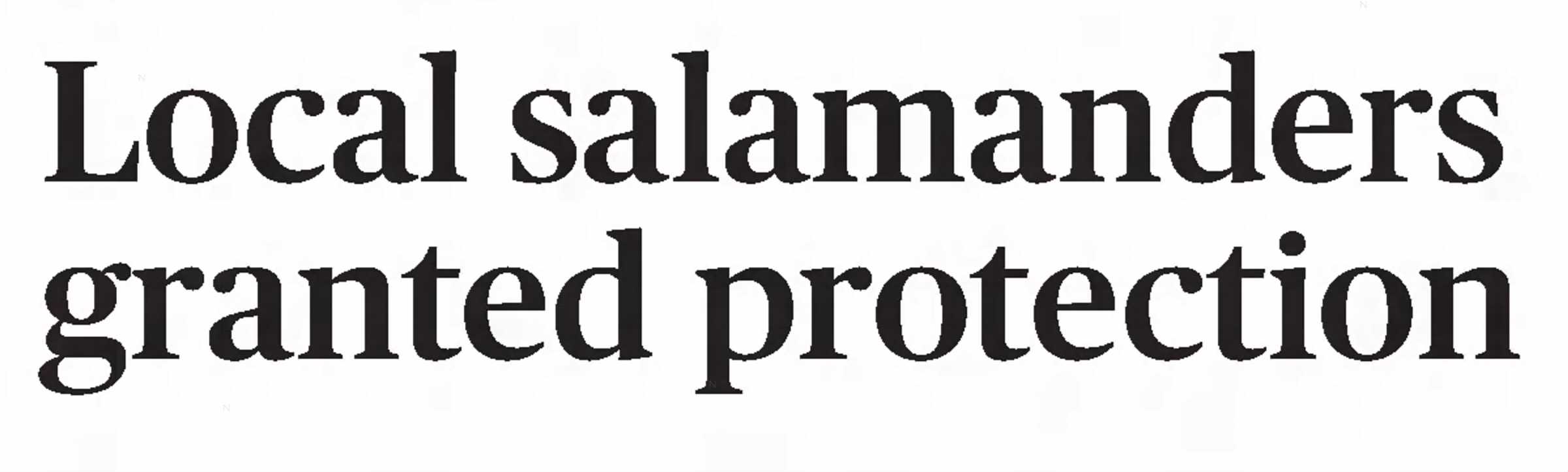 Local salamanders granted protection
