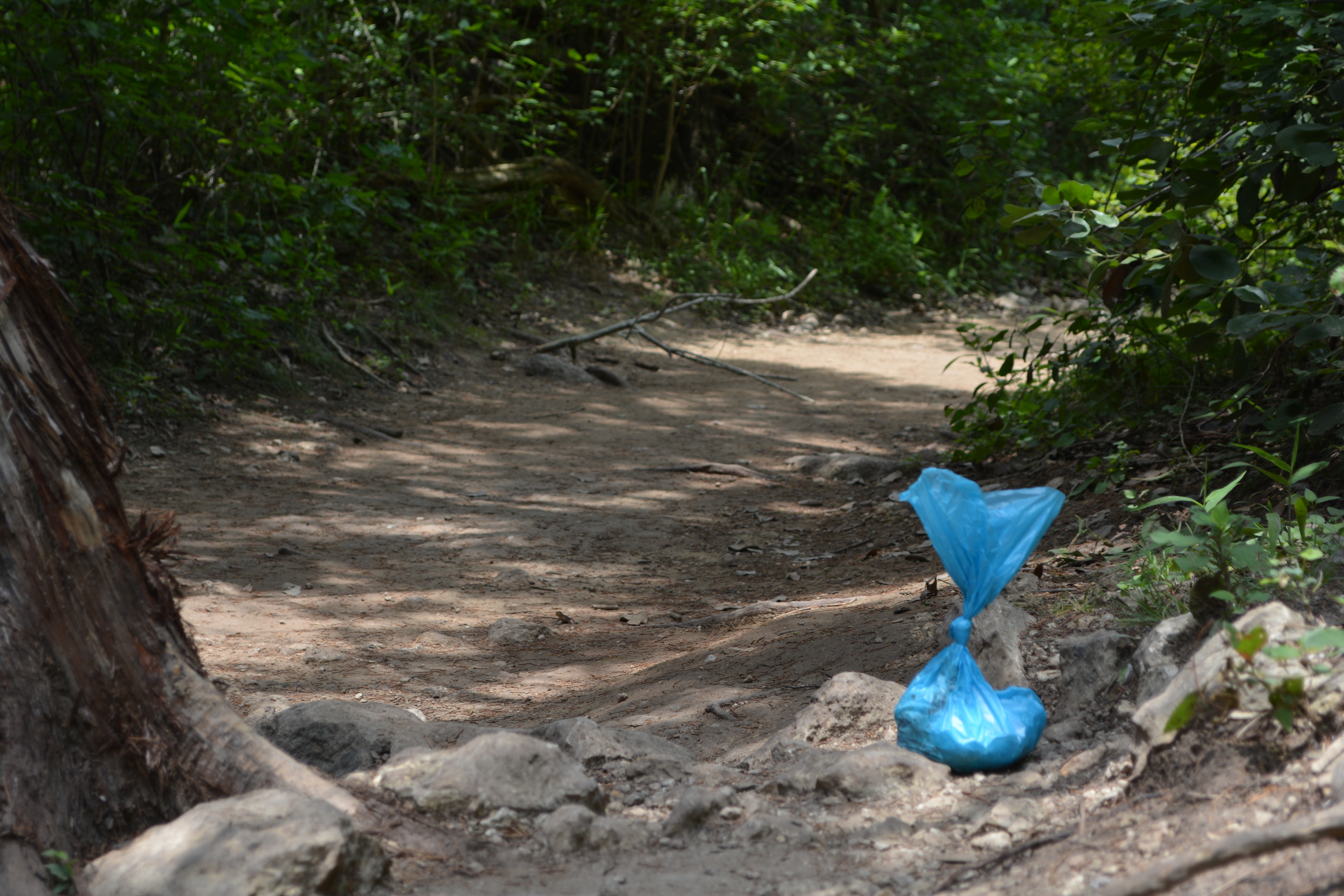 Discarding animal waste and trash on trails is unsanitary, unsightly and contributes to unhealthy levels of bacteria in the water.